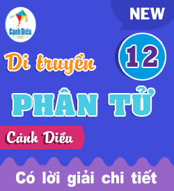 Di truyền Phân tử (CD)